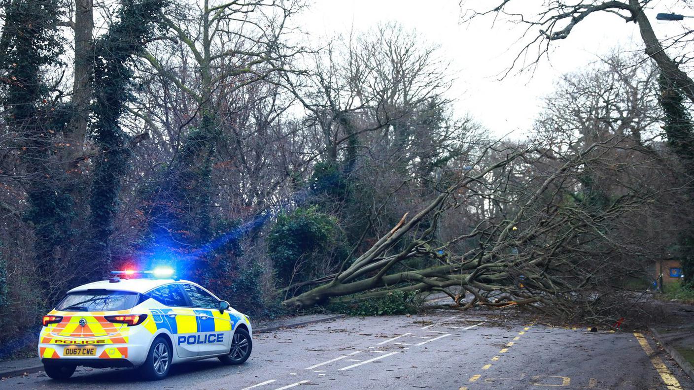 Alberi abbattuti dalla tempesta vicino a Londra