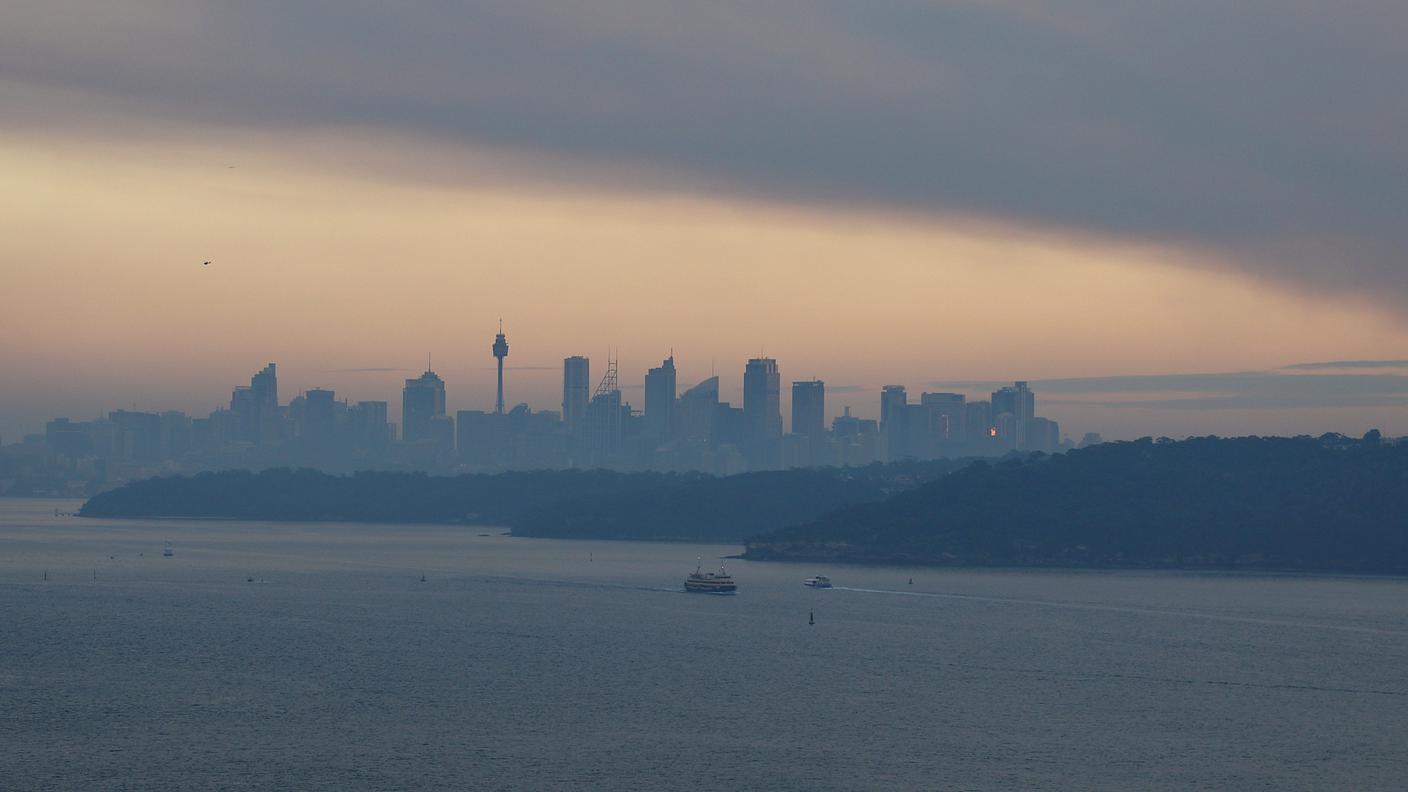 Sidney in un'immagine scattata lo scorso agosto