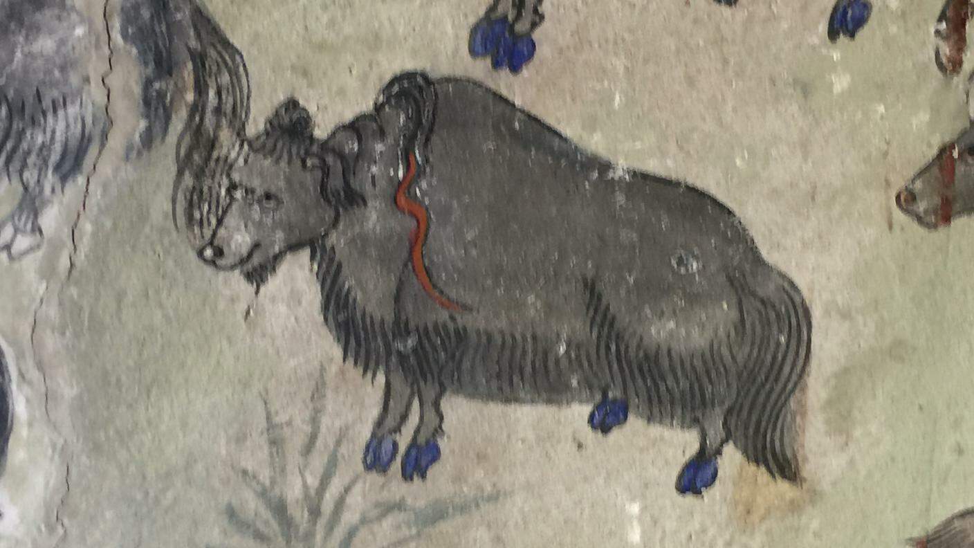 Raffigurazione di uno yak in un monastero