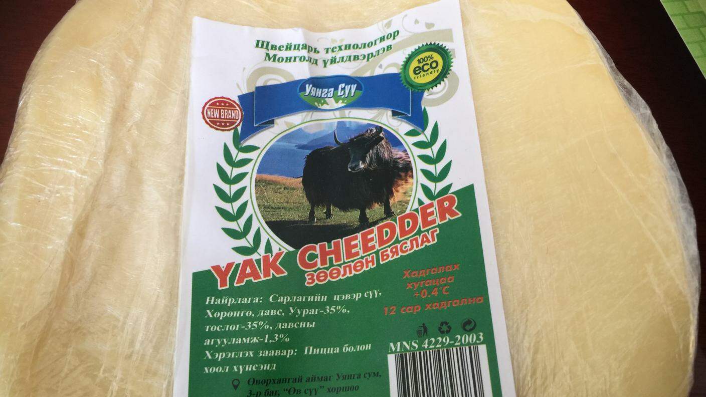 Produzione di formaggio di yak (grazie a un progetto svizzero)