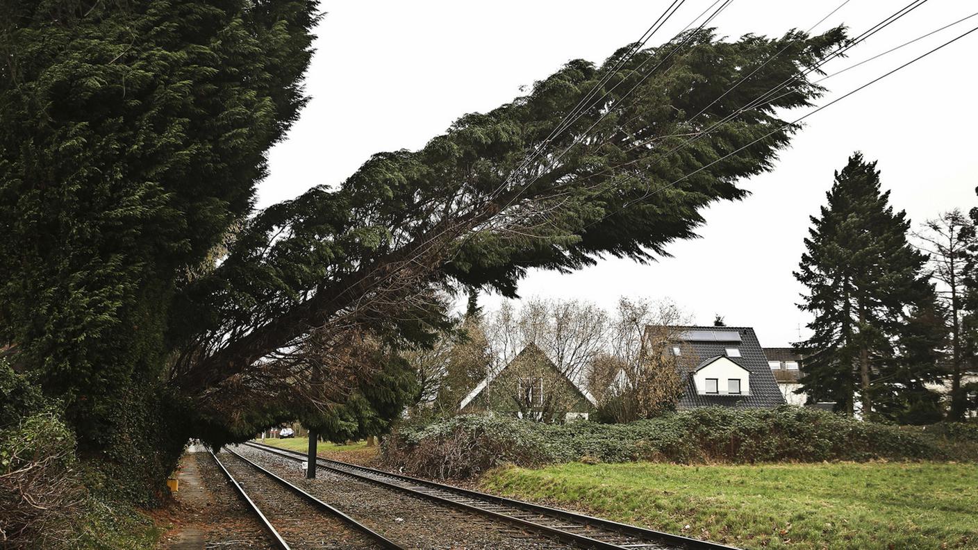 Albero piegato dal vento sulla linea verso Düsseldorf, in Germania