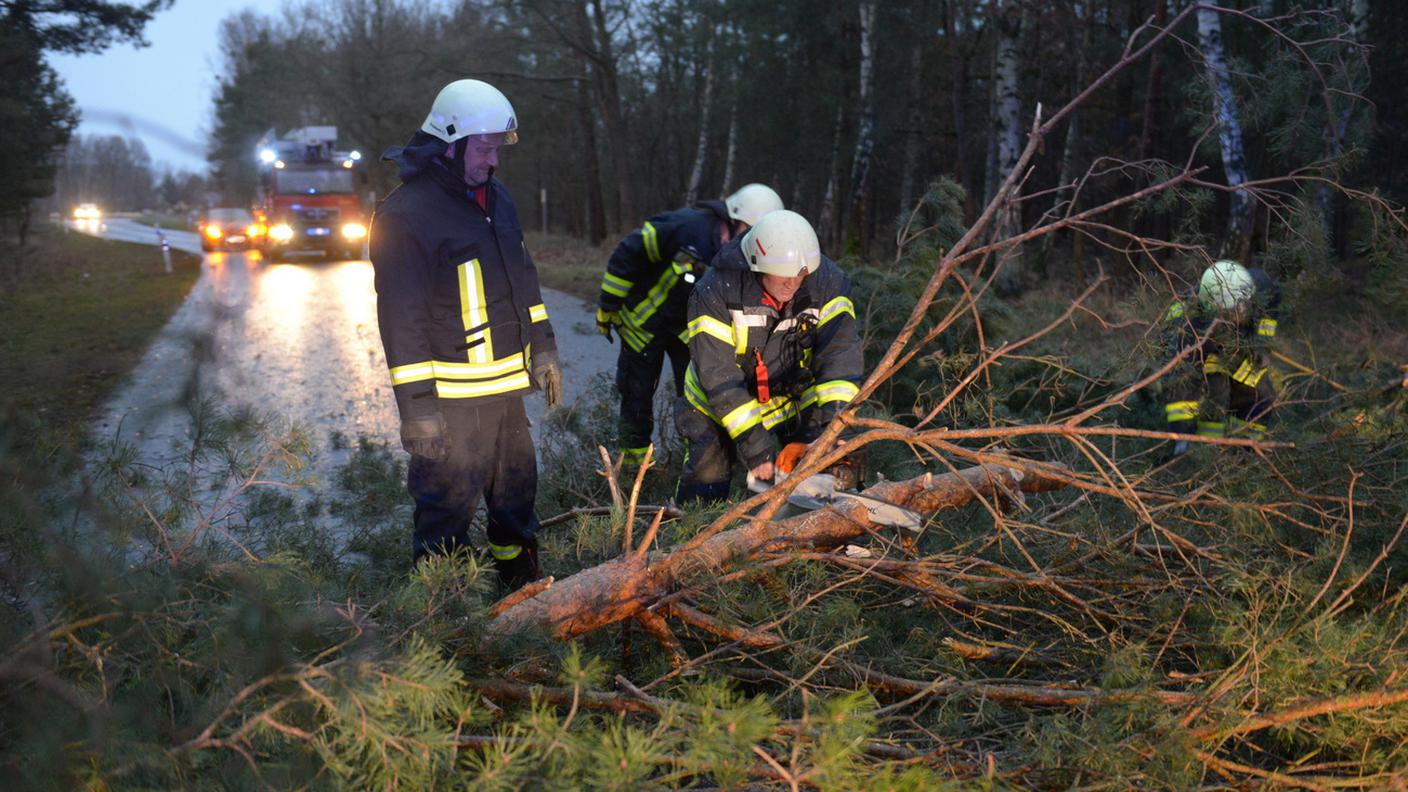Pompieri al lavoro nel Brandeburgo in Germania