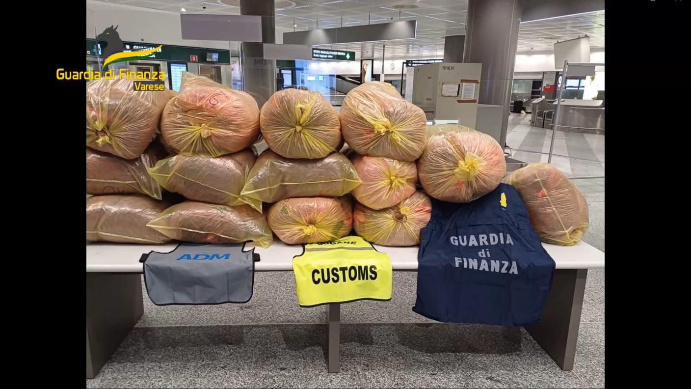 malpensa.jpg