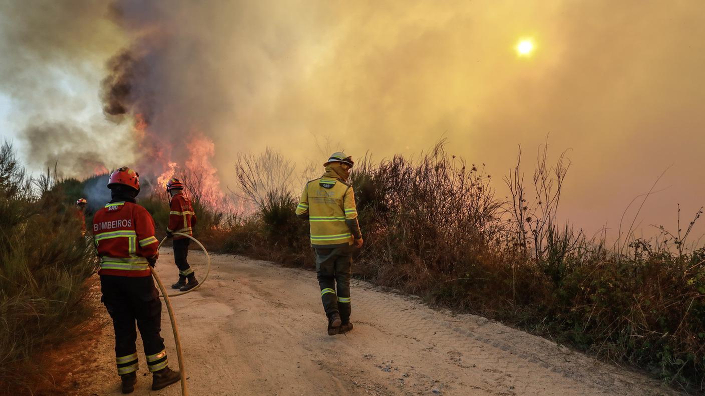 incendio Portogallo