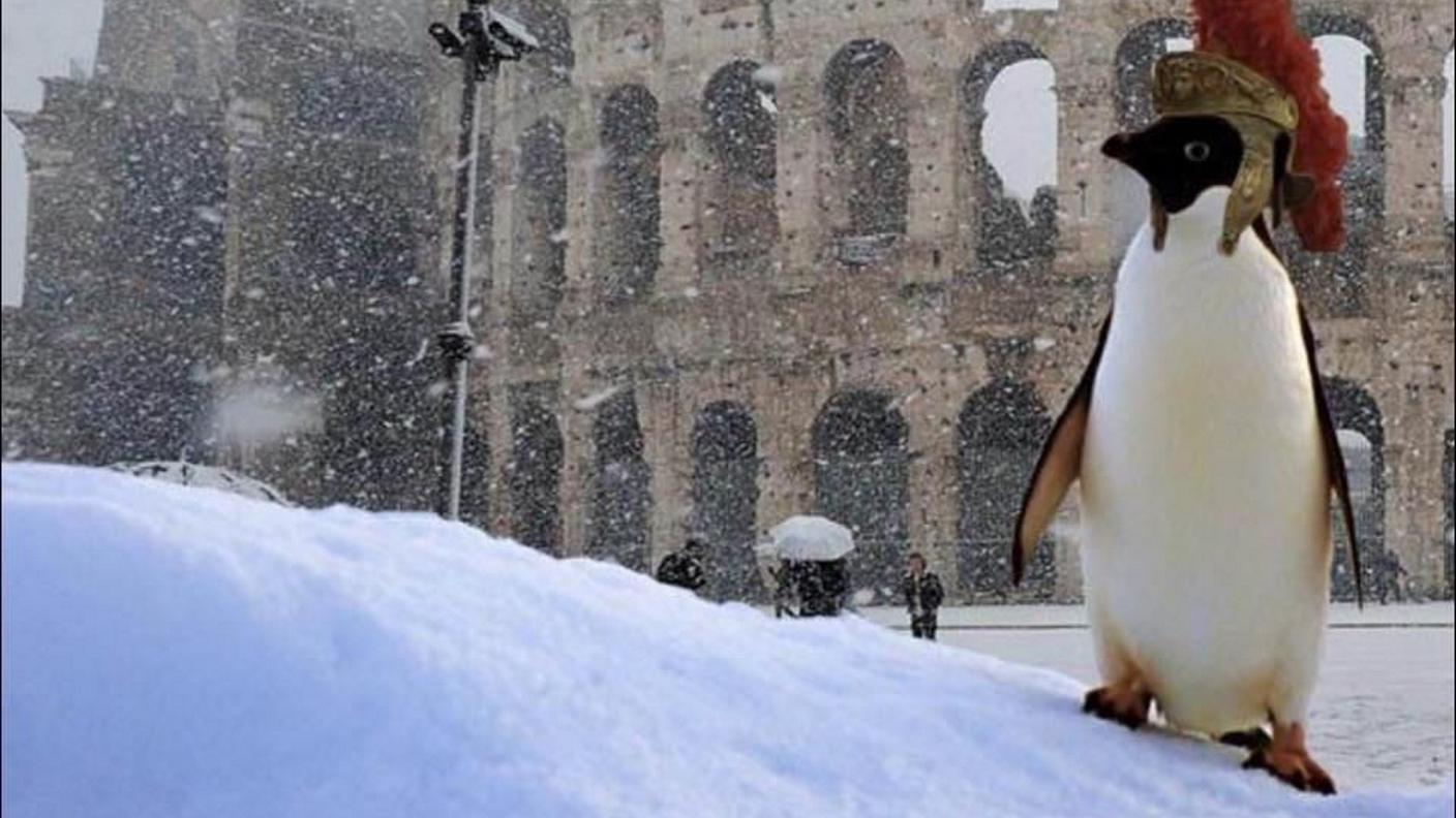 Nuovi centurioni sono apparsi lunedì in mattinata nei pressi del Colosseo