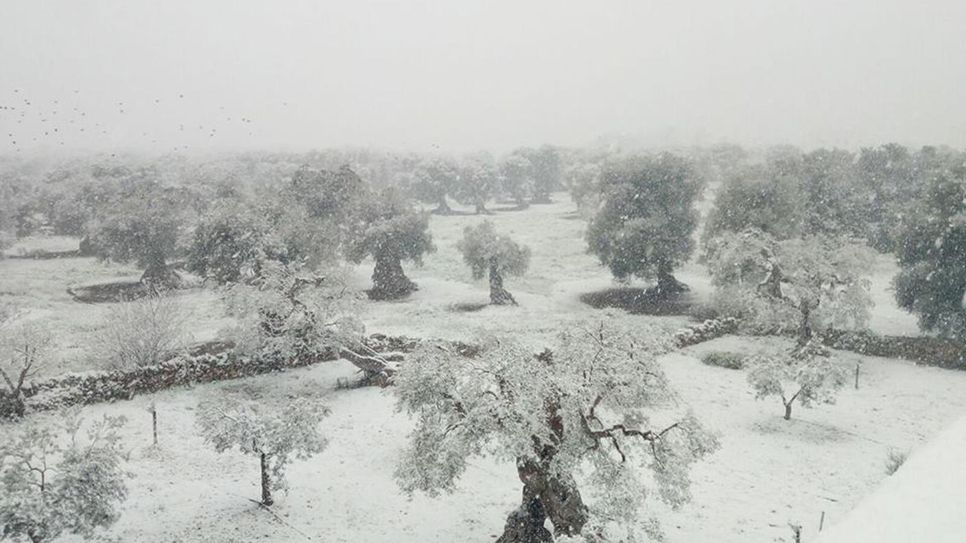 A sud (Puglia)