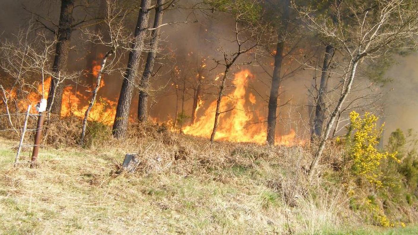 Gli incendi boschivi hanno emesso sempre più gas a effetto serra