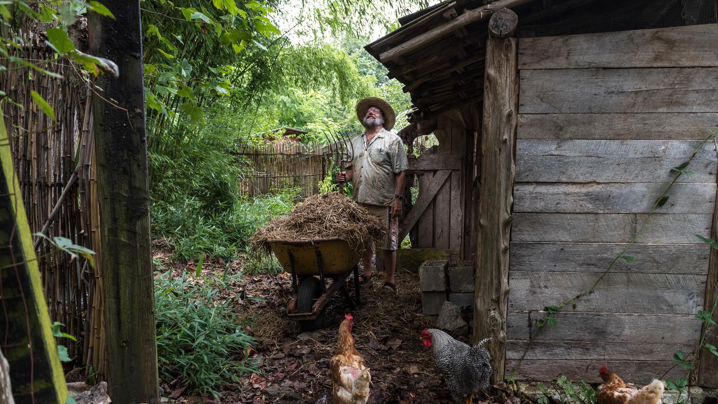 The Farm - Stati Uniti