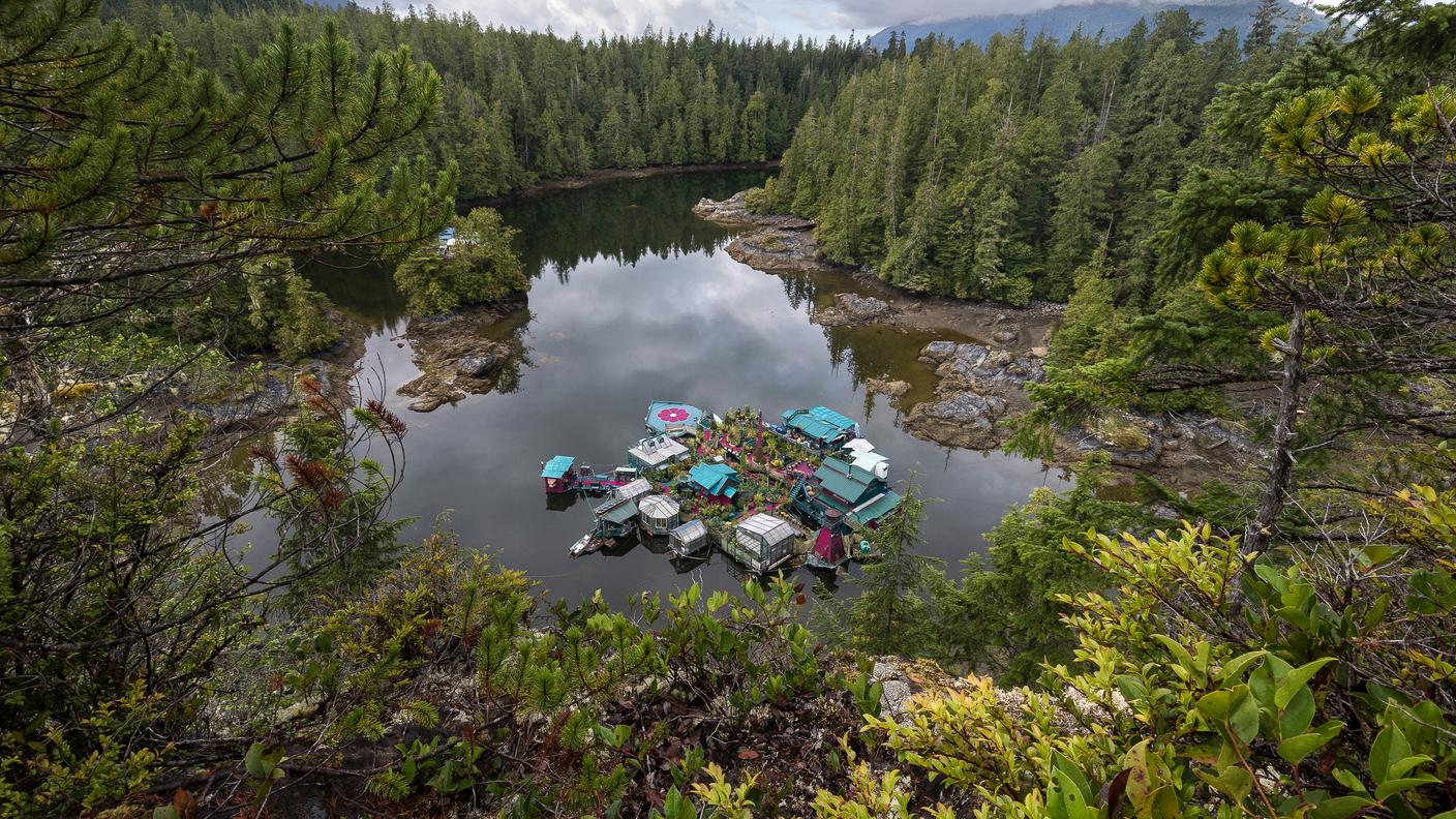 Freedom Cove Vancouver Island