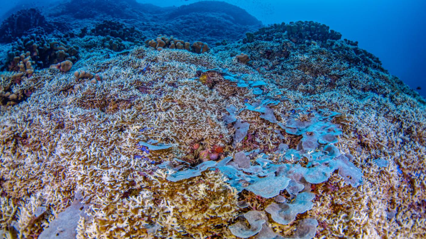 17_-_NGSPS2024SOL_MSF_2618Nat_Geographic_1.jfif