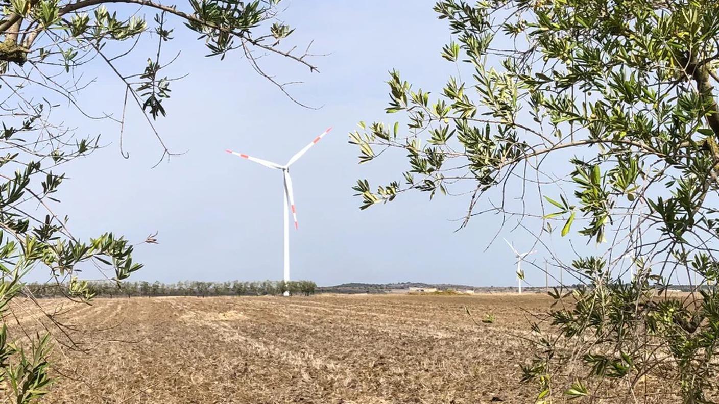 Il parco eolico della BKW a Castellaneta comprende 28 turbine eoliche