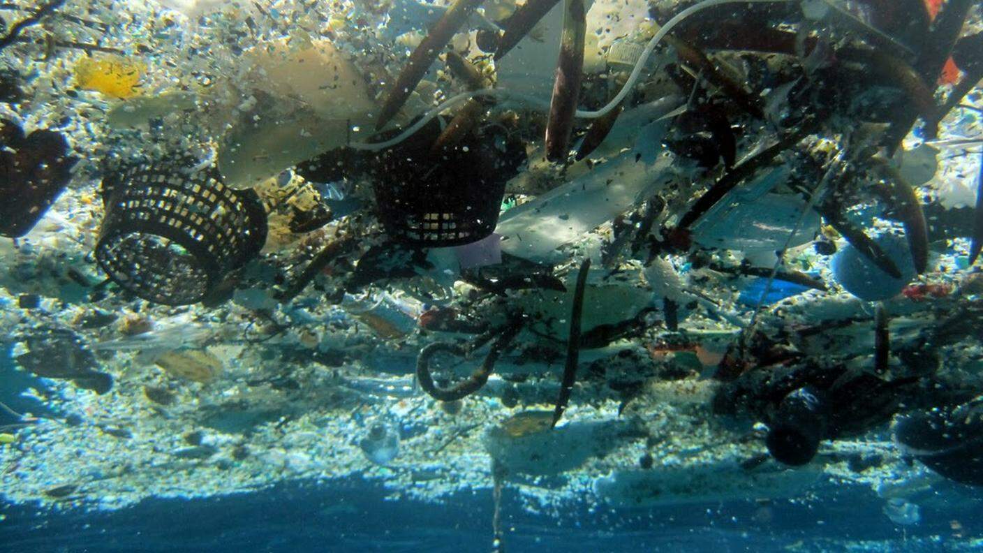 L'ONU ha stimato che i rifiuti di plastica "potrebbero superare i pesci entro il 2050"