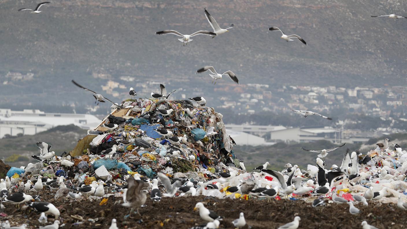 Spiagge trasformate in discariche
