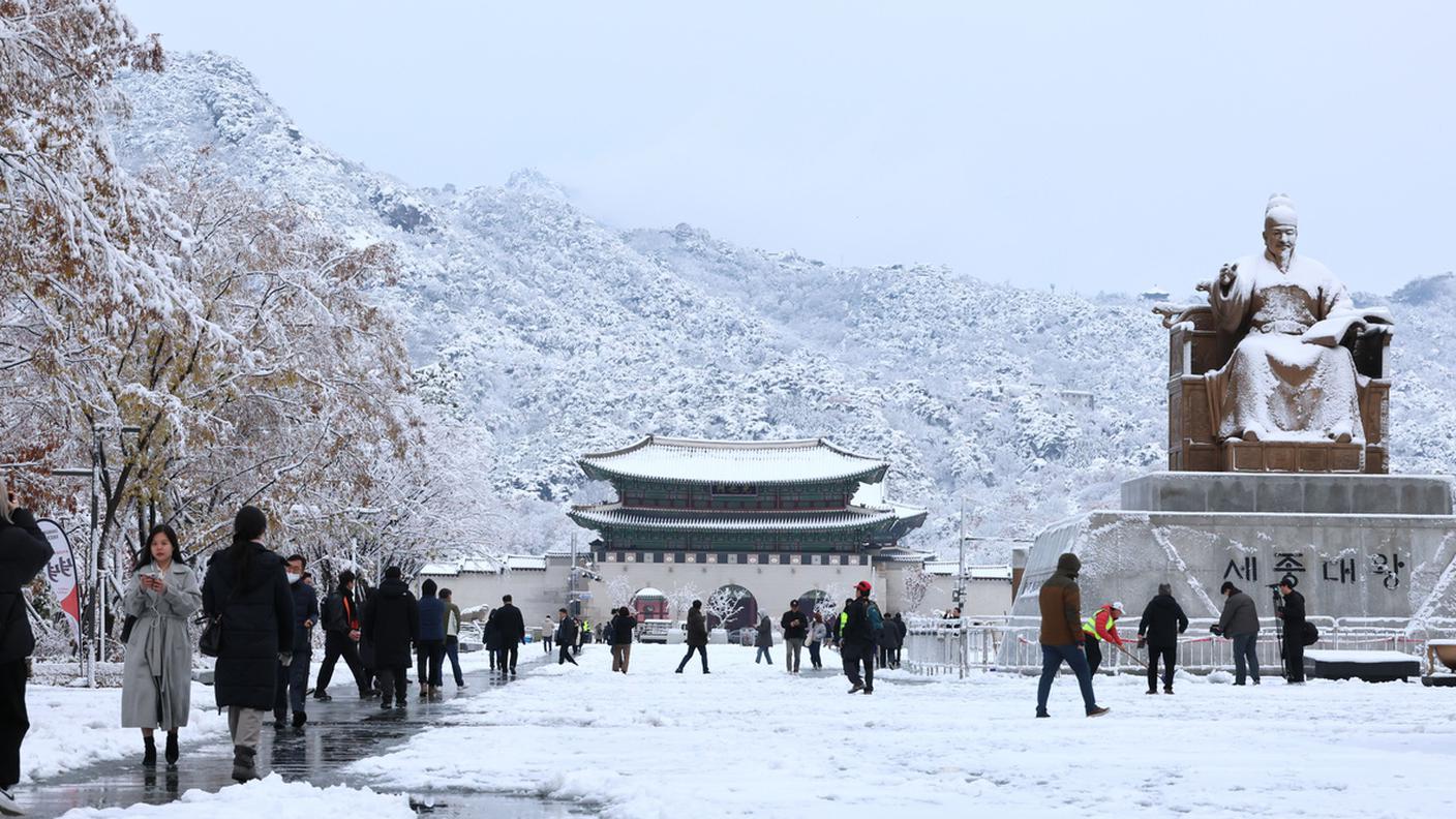 neve a seul