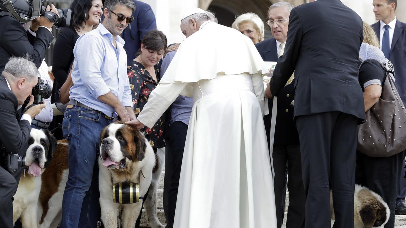 Piazza San Pietro, 2018