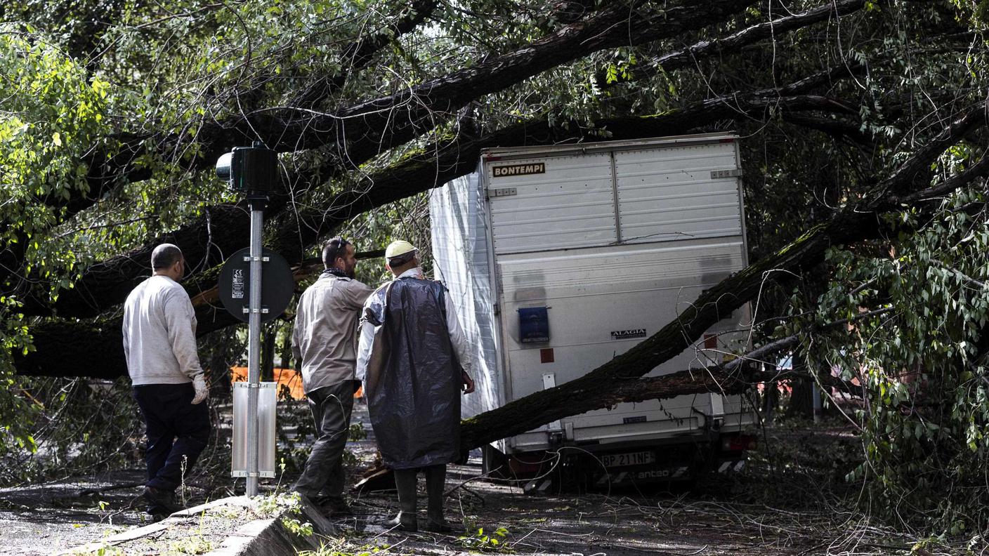 Decine di alberi sono caduti a Roma martedì, provocando gravi danni