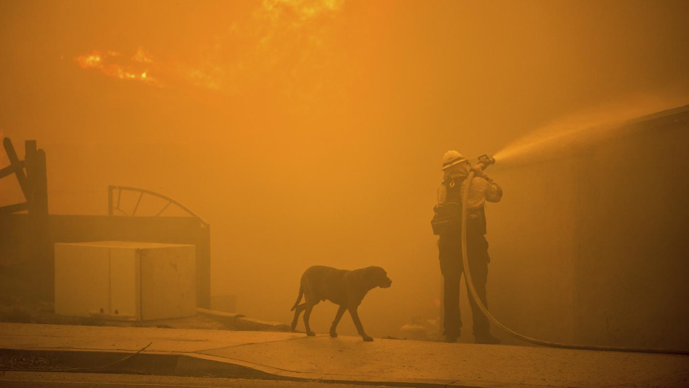 Un cane cammina vicino a un pompiere ad Altadena