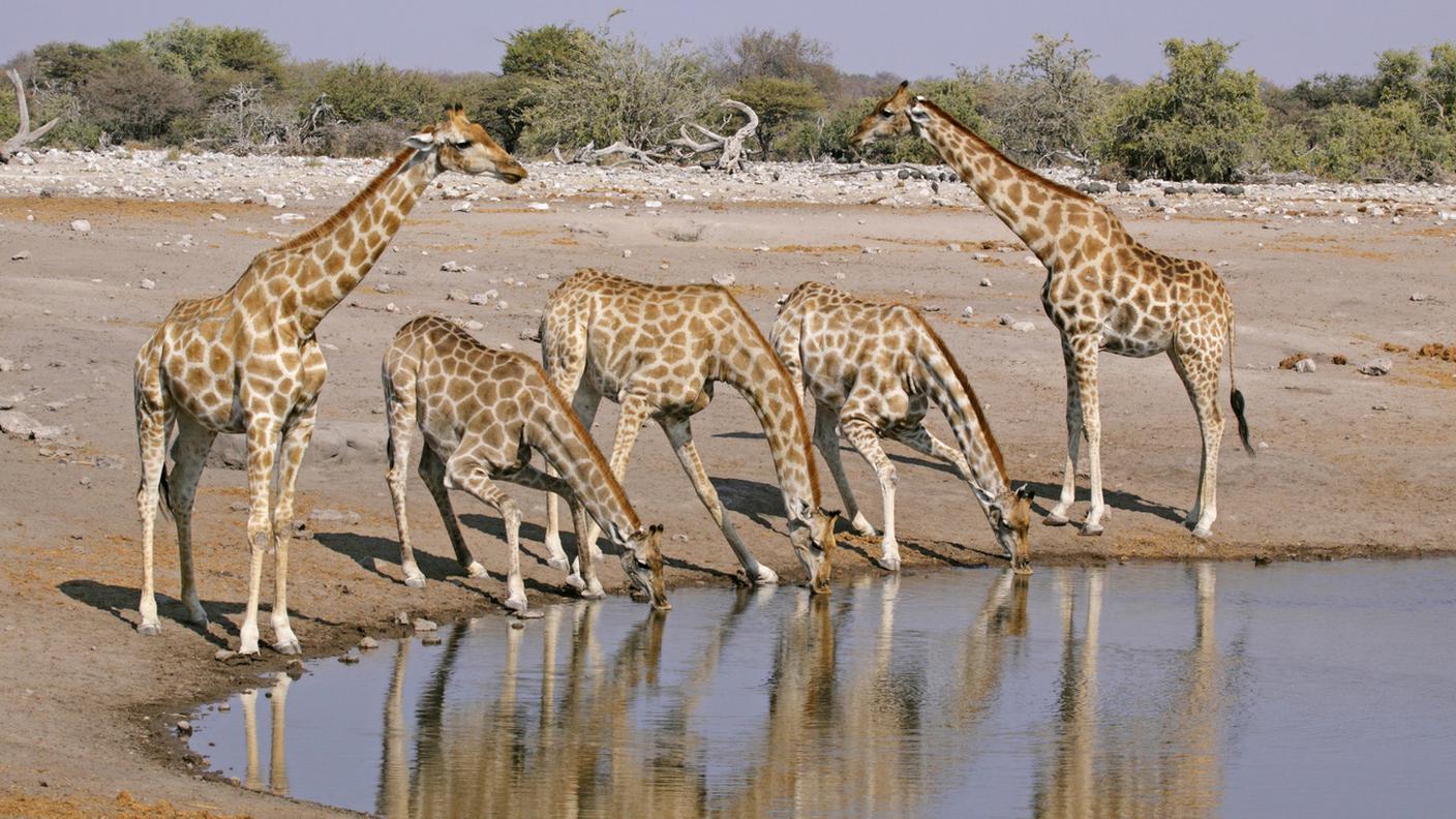 La situazione, in Africa, varia da paese a paese