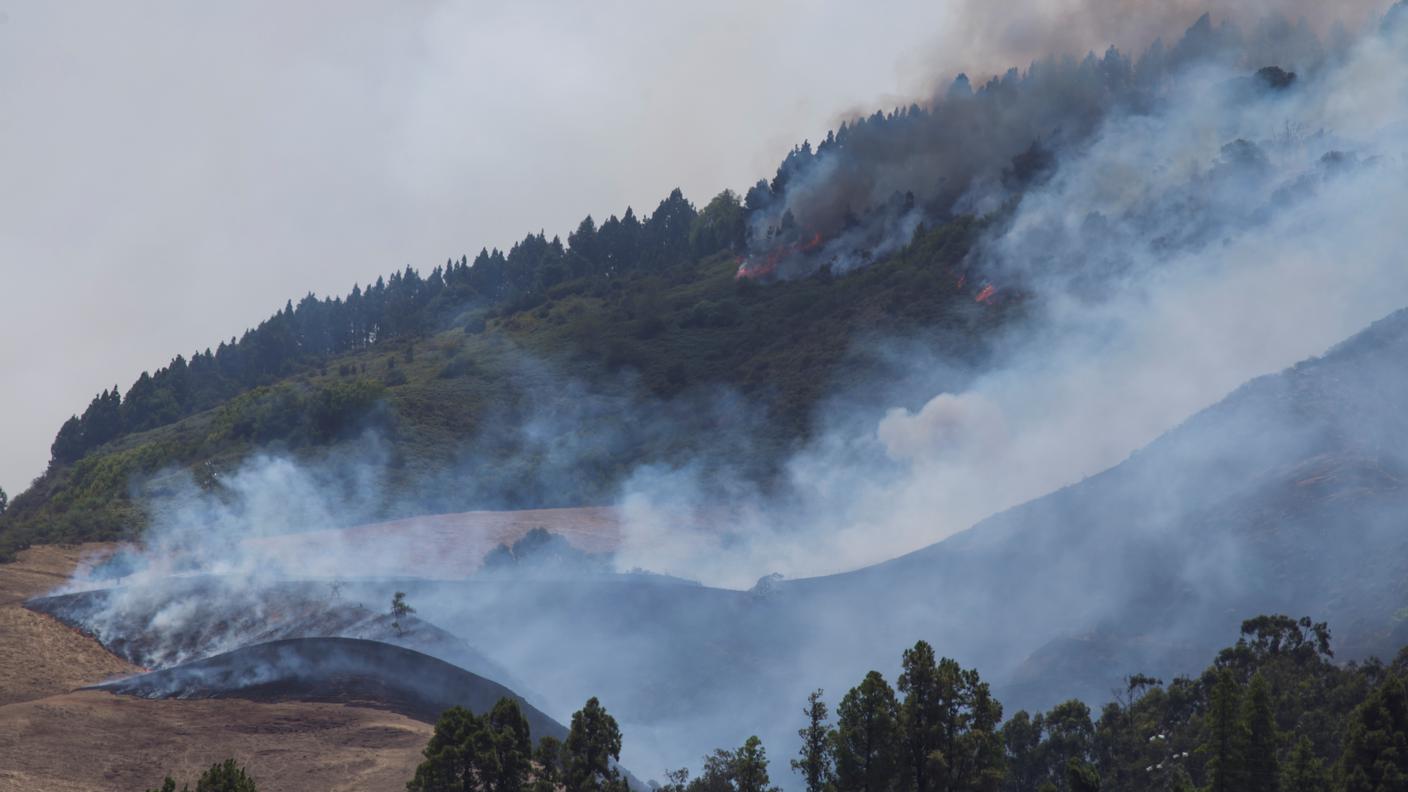 Le fiamme sono favorite dalle alte temperature e dalla scarsa umidità