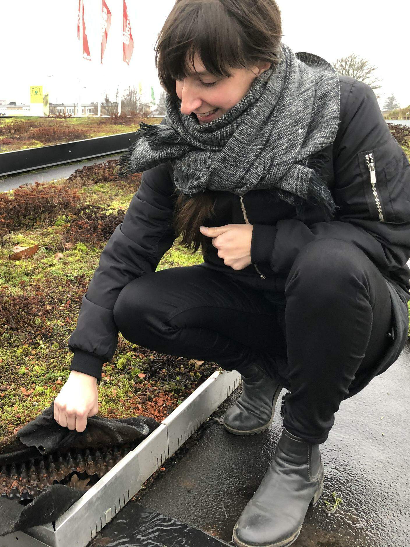 Tanja Mason, l'ingegnera dei tetti verdi: lo strato per la vegetazione è fatto di frammenti di mattoni e materiali plastici di recupero