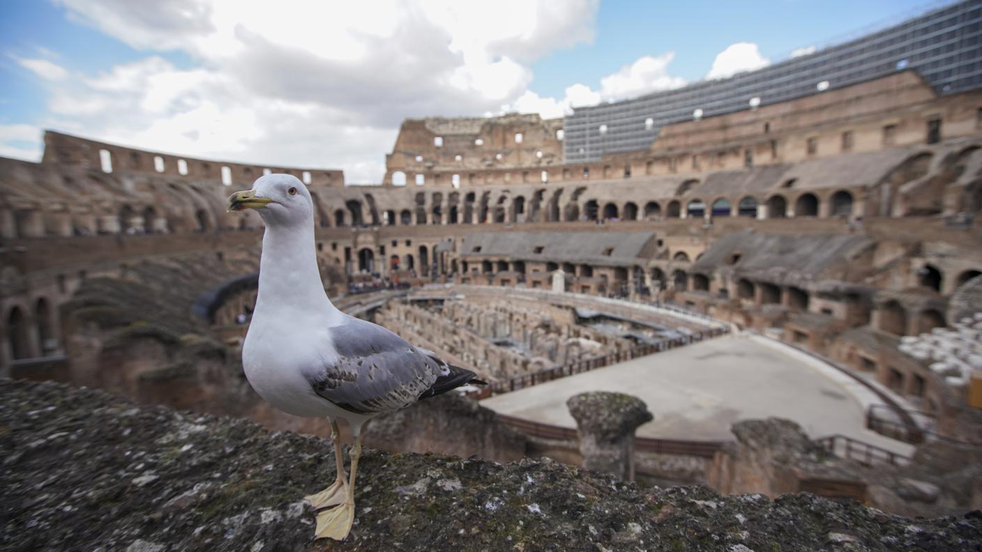 Il Colosseo deserto