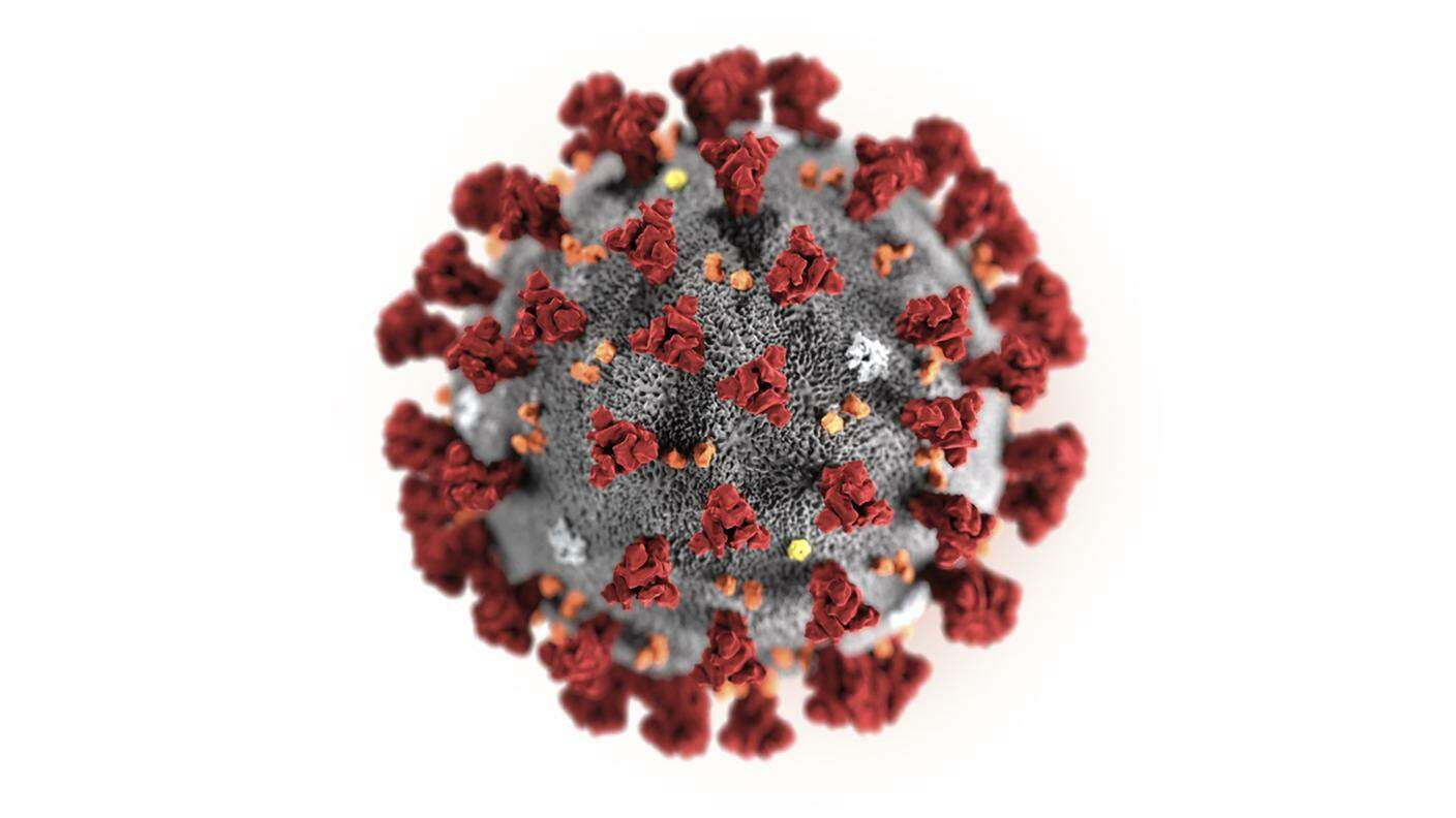 Un'illustrazione del nuovo coronavirus