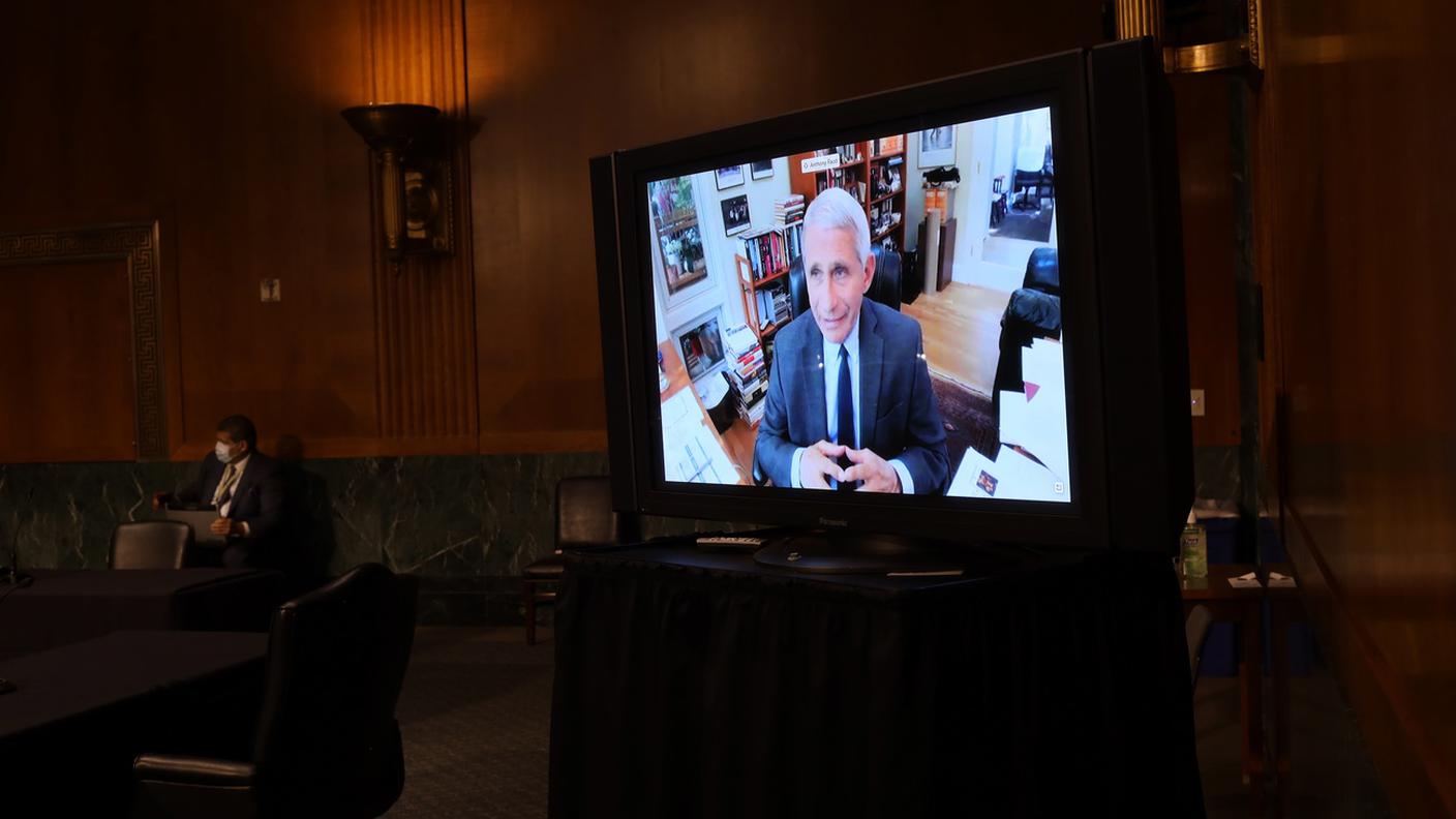 Fauci durante la "tele-doposizione" al Senato