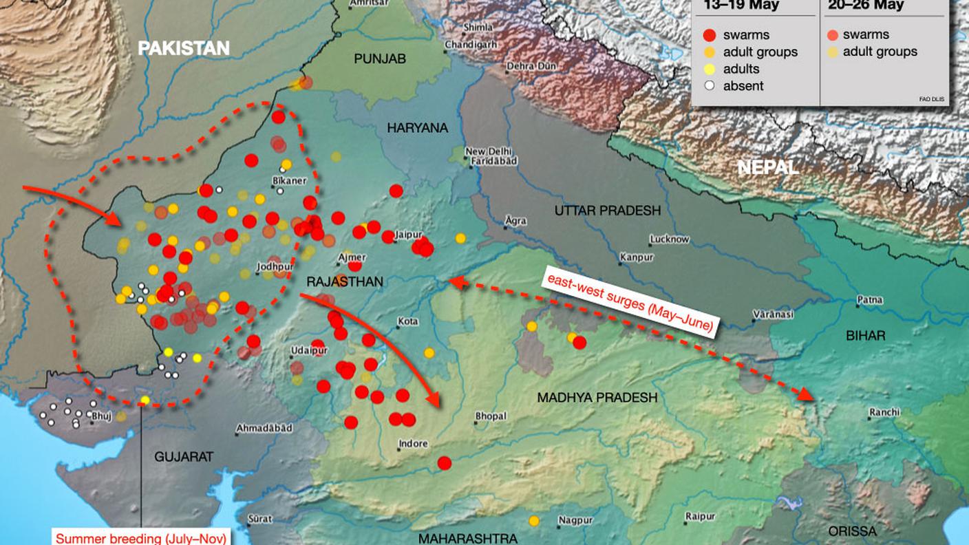 La situazione in India e Pakistan