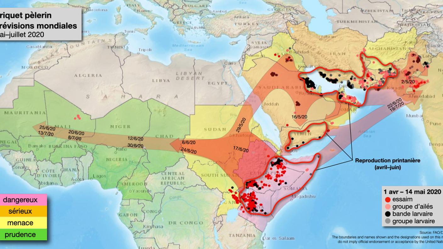 La situazione in Africa e Penisola Arabica