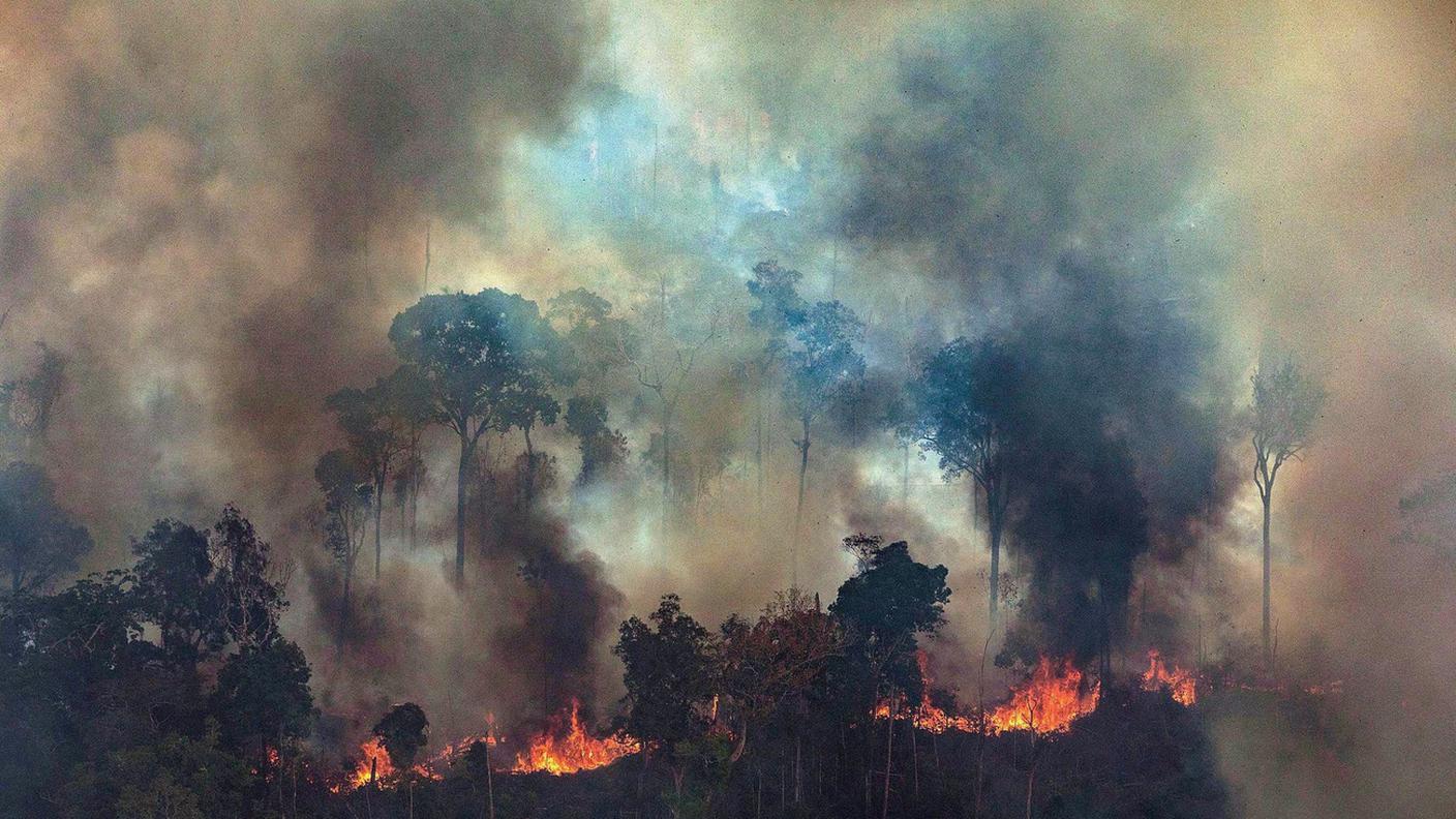 Una foresta amazzonica in fiamme