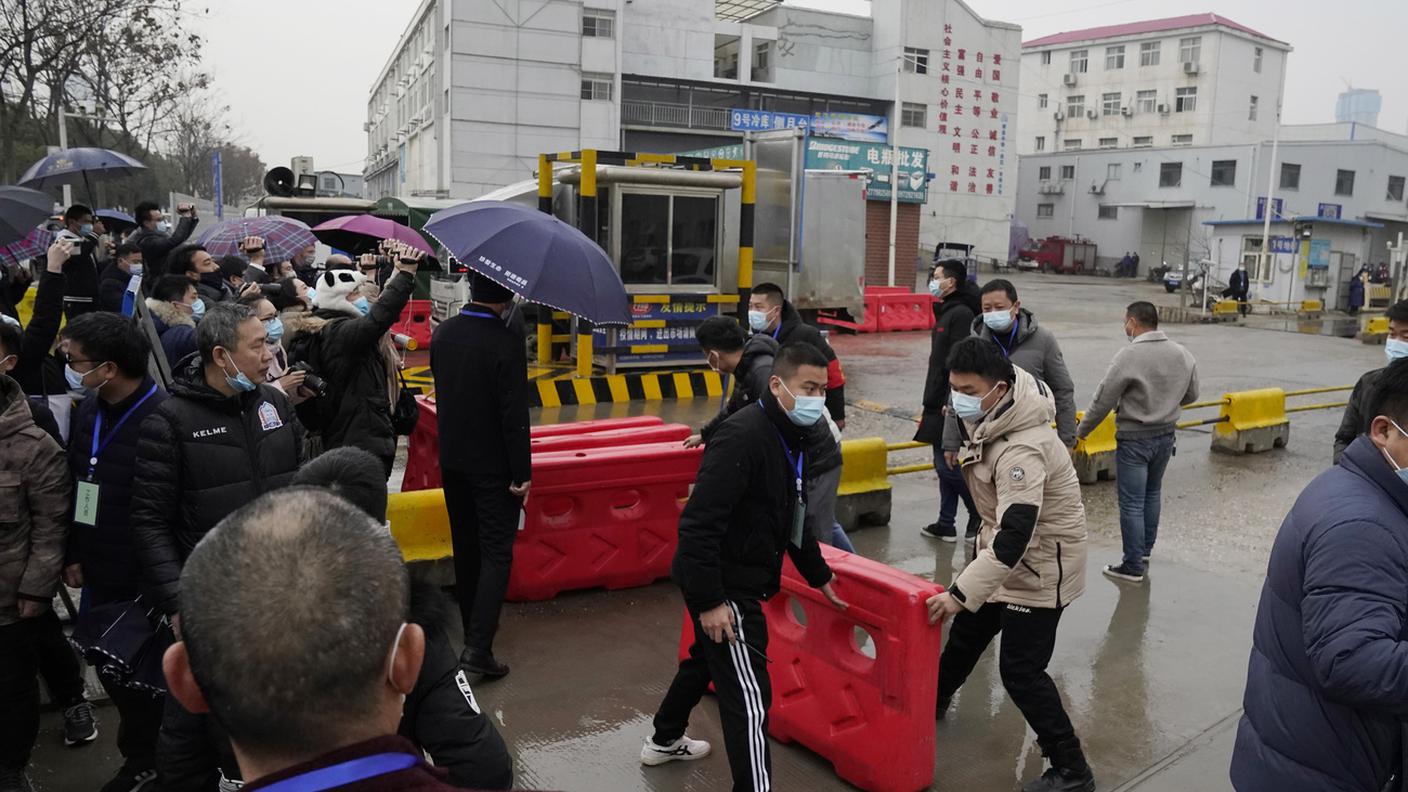 Gli esperti dell'OMS al mercato di Wuhan