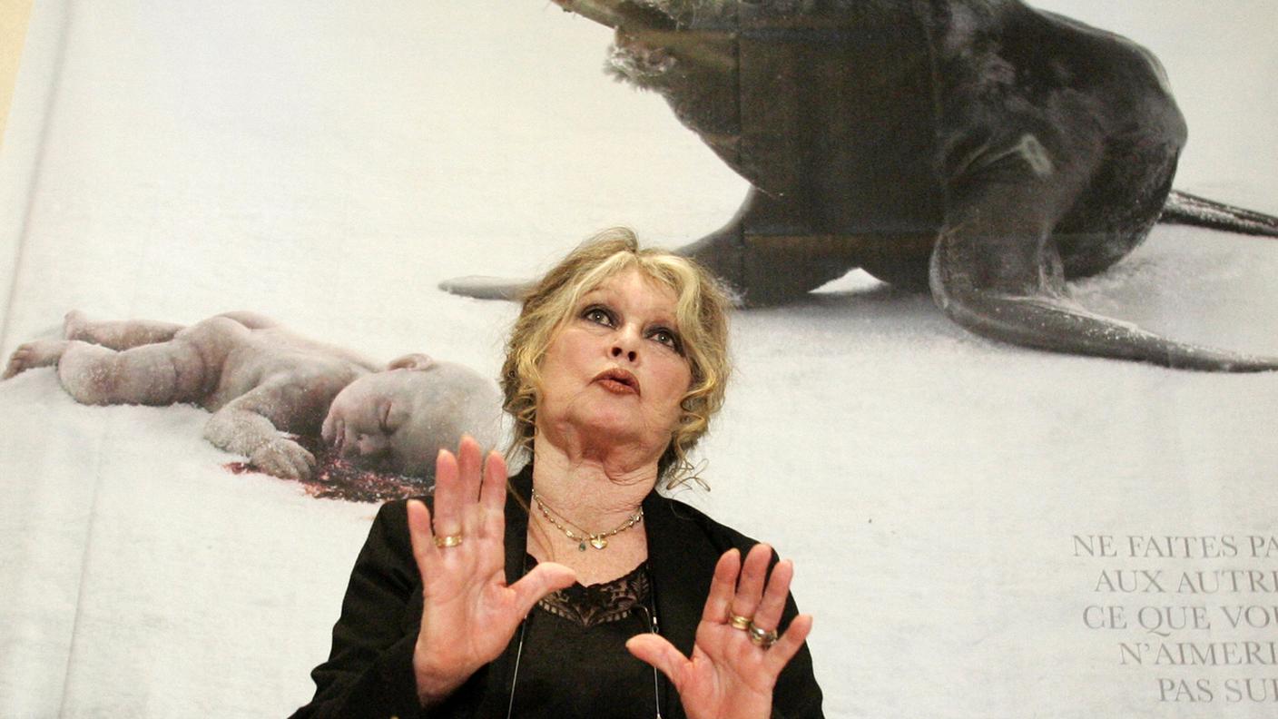 Brigitte Bardot durante una conferenza stampa in difesa delle foche in Canada nel 2006