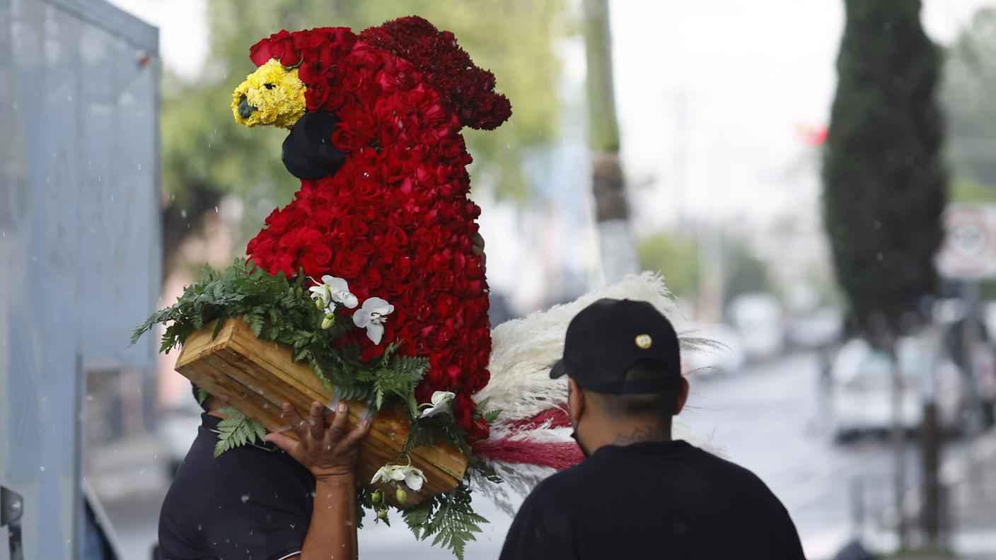 Il narcotrafficante messicano era detto anche "El Gallero", il gallo