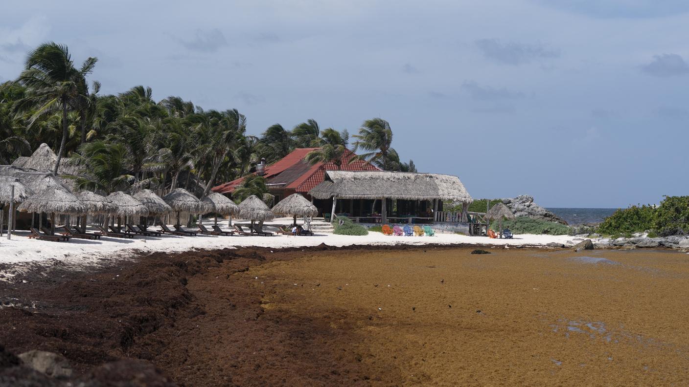 Il direttore della zona marittima di Tulum, David Buchanan García, ha confermato la gravità del momento: "È un anno complicato"