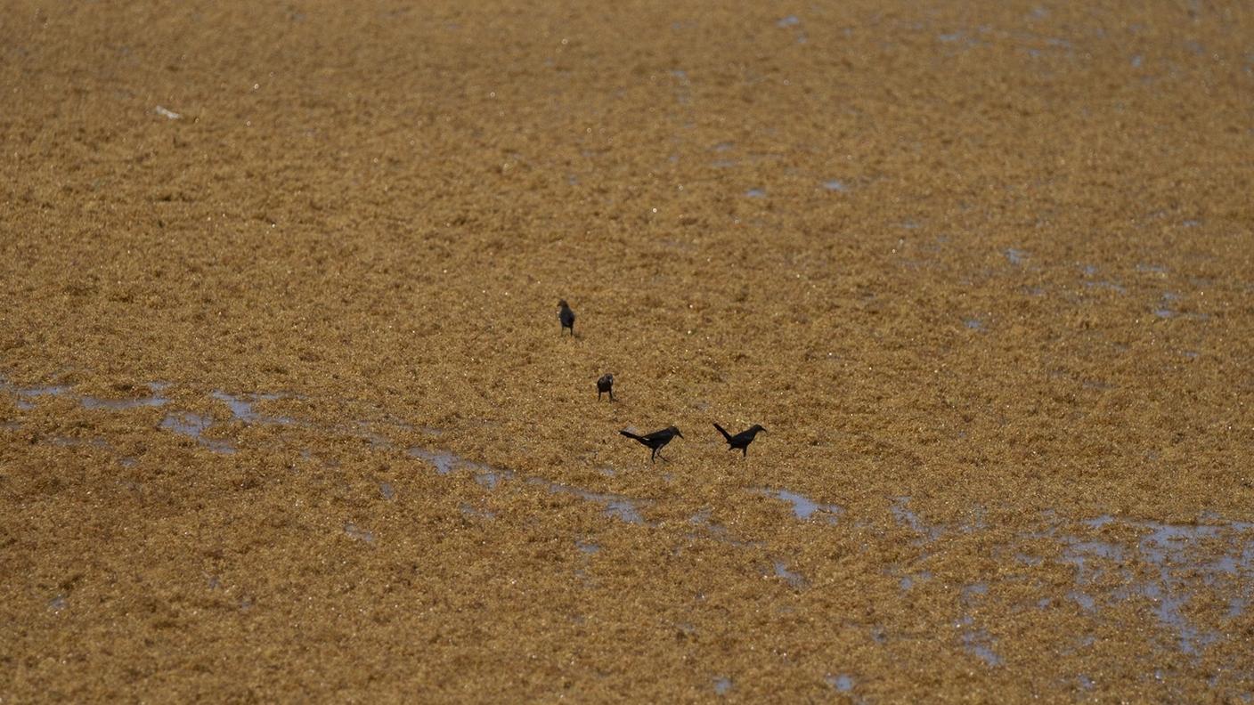 Secondo gli esperti i venti peggioreranno ulteriormente la situazione nei prossimi giorni