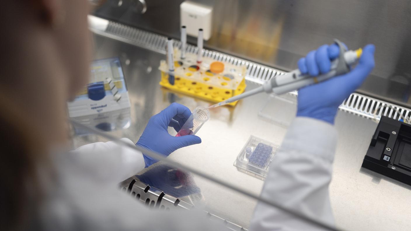 MSD ha riferito che in Svizzera hanno trovato anche gli spazi ideali per uffici e laboratori, personale qualificato, stabilità e dialogo con le autorità
