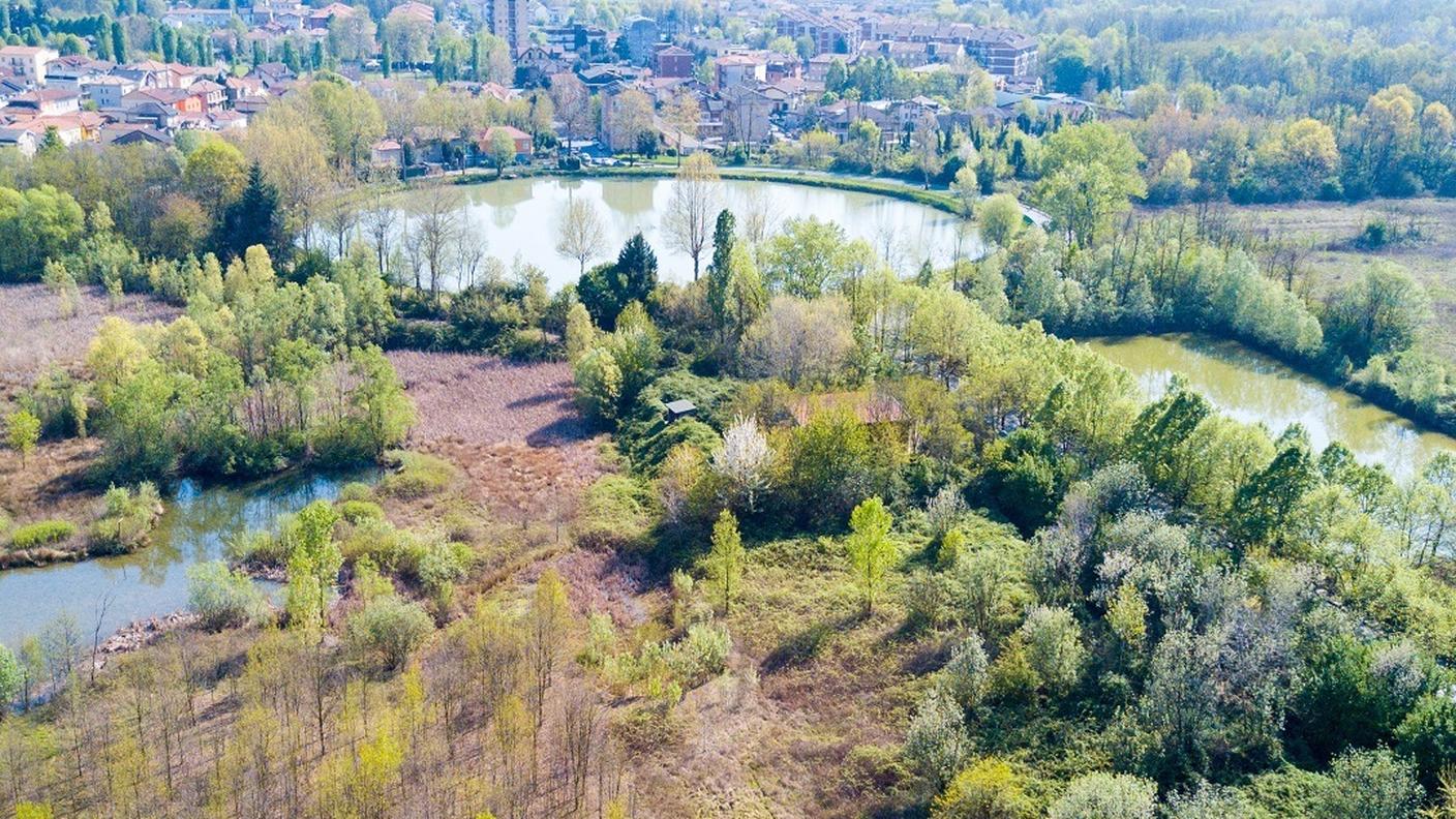 Il Bosco delle Querce si estende per 43 ettari (35 a Seveso, 8 a Meda) sopra l'area più colpita dalla nube tossica di diossina fuoriuscita dall'ICMESA nel 1976