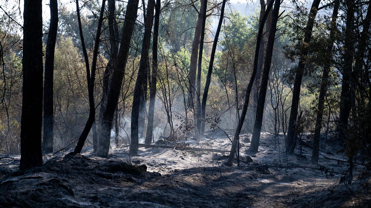 Spagna, vasto incendio causa almeno 12 morti