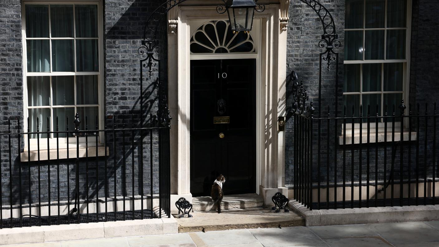 Larry a  10 Downing Street 