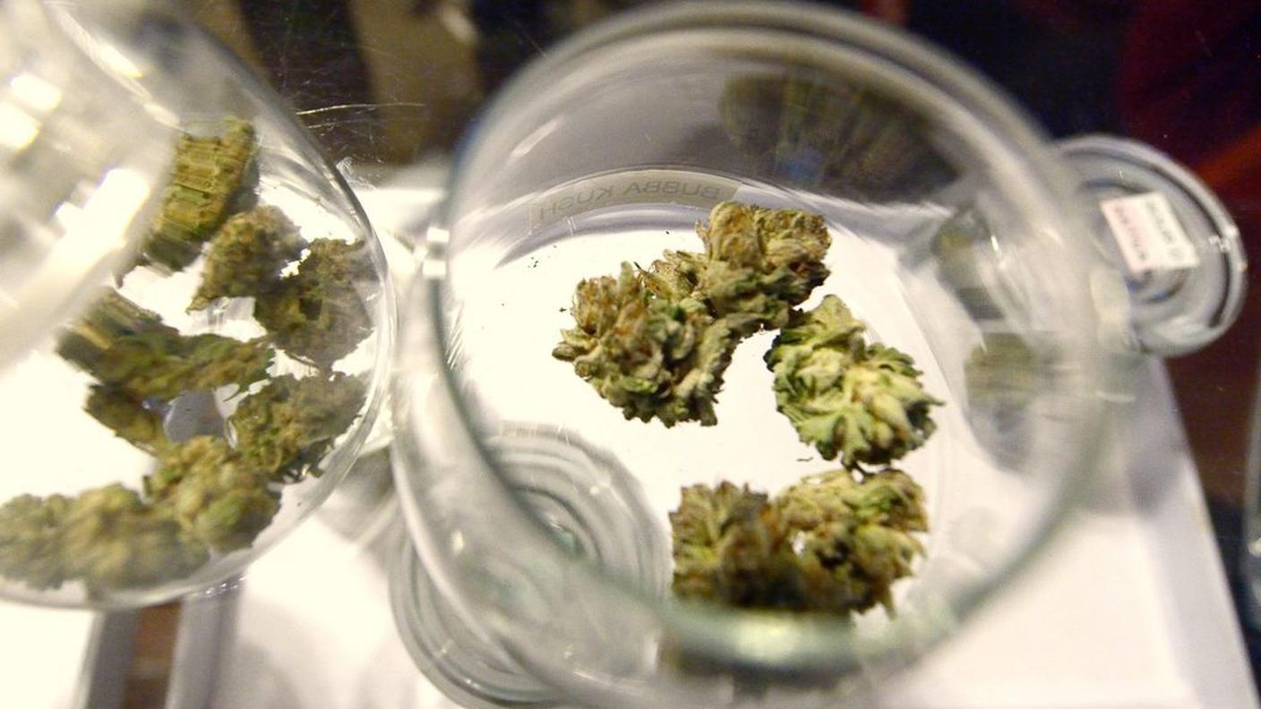 Marijuana solo per i malati gravi