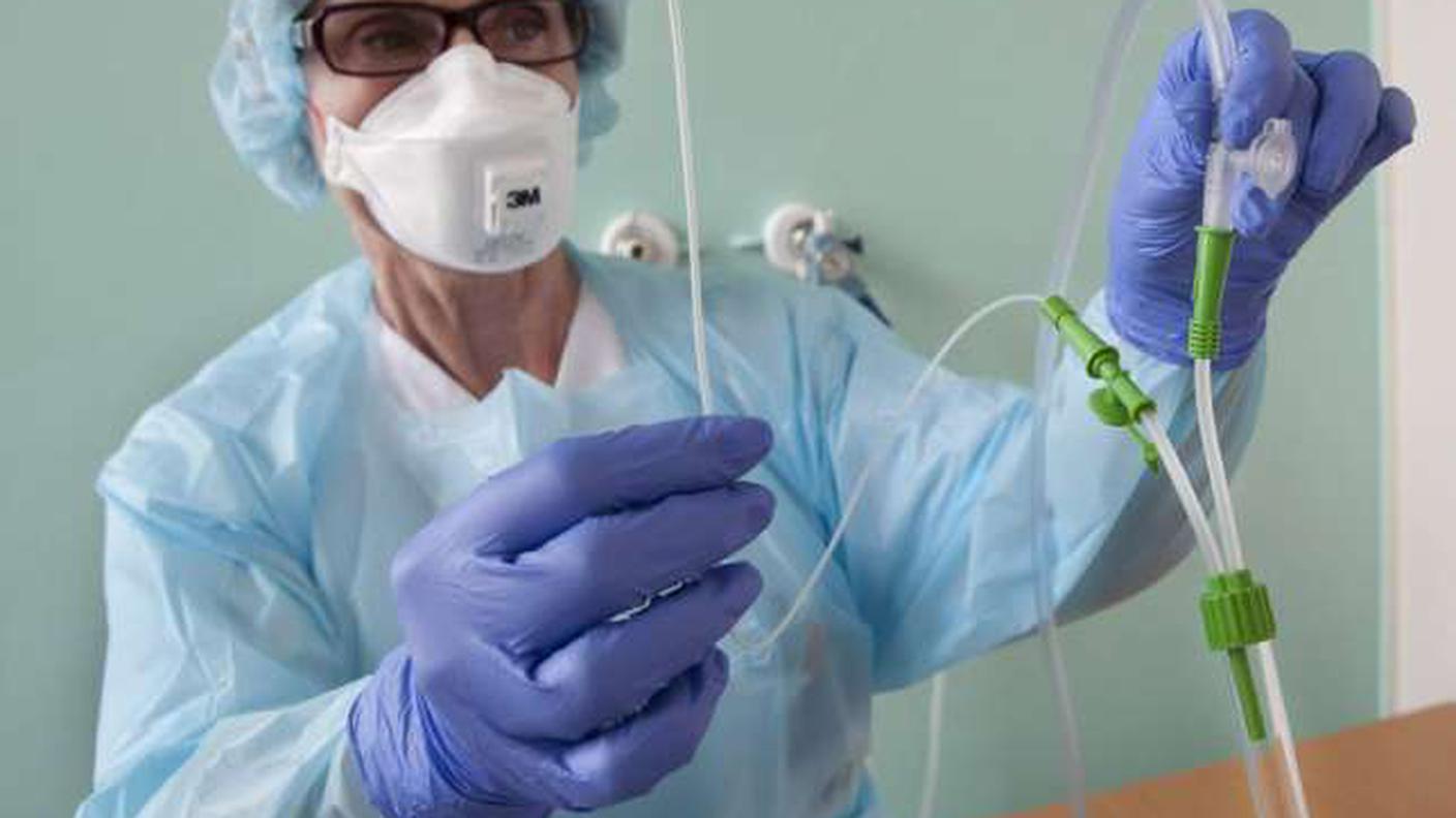 test influenza suina key.jpg