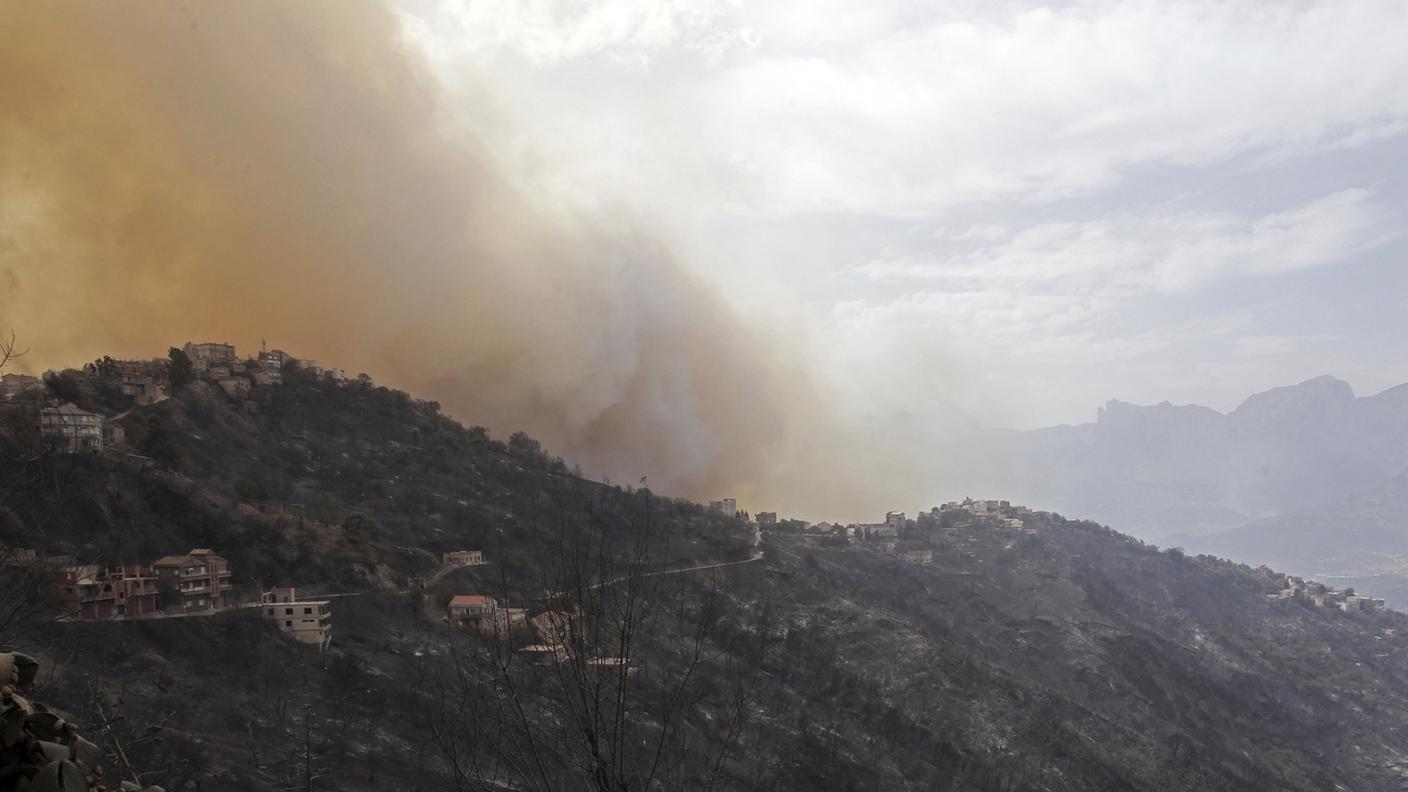 Un'immagine scattata oggi nei dintorni di Tizi Ouzou