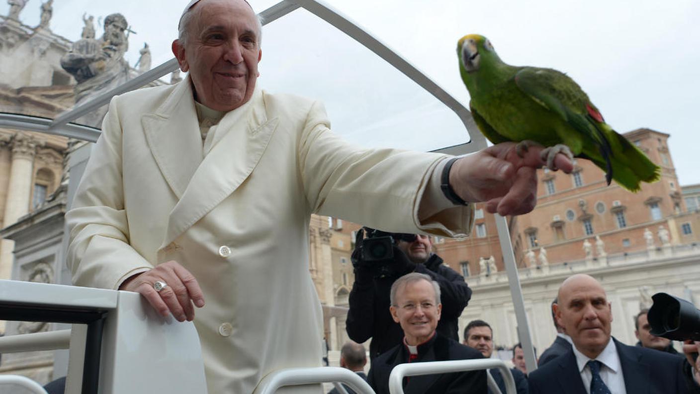 papa francesco gennaio 2014 ky.JPG