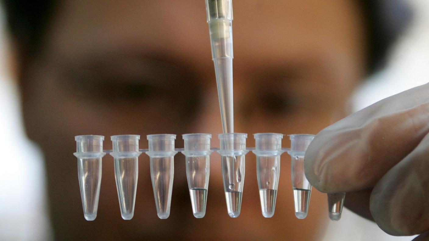 ky_genetica_mendel_provetta_laboratorio_dna.JPG