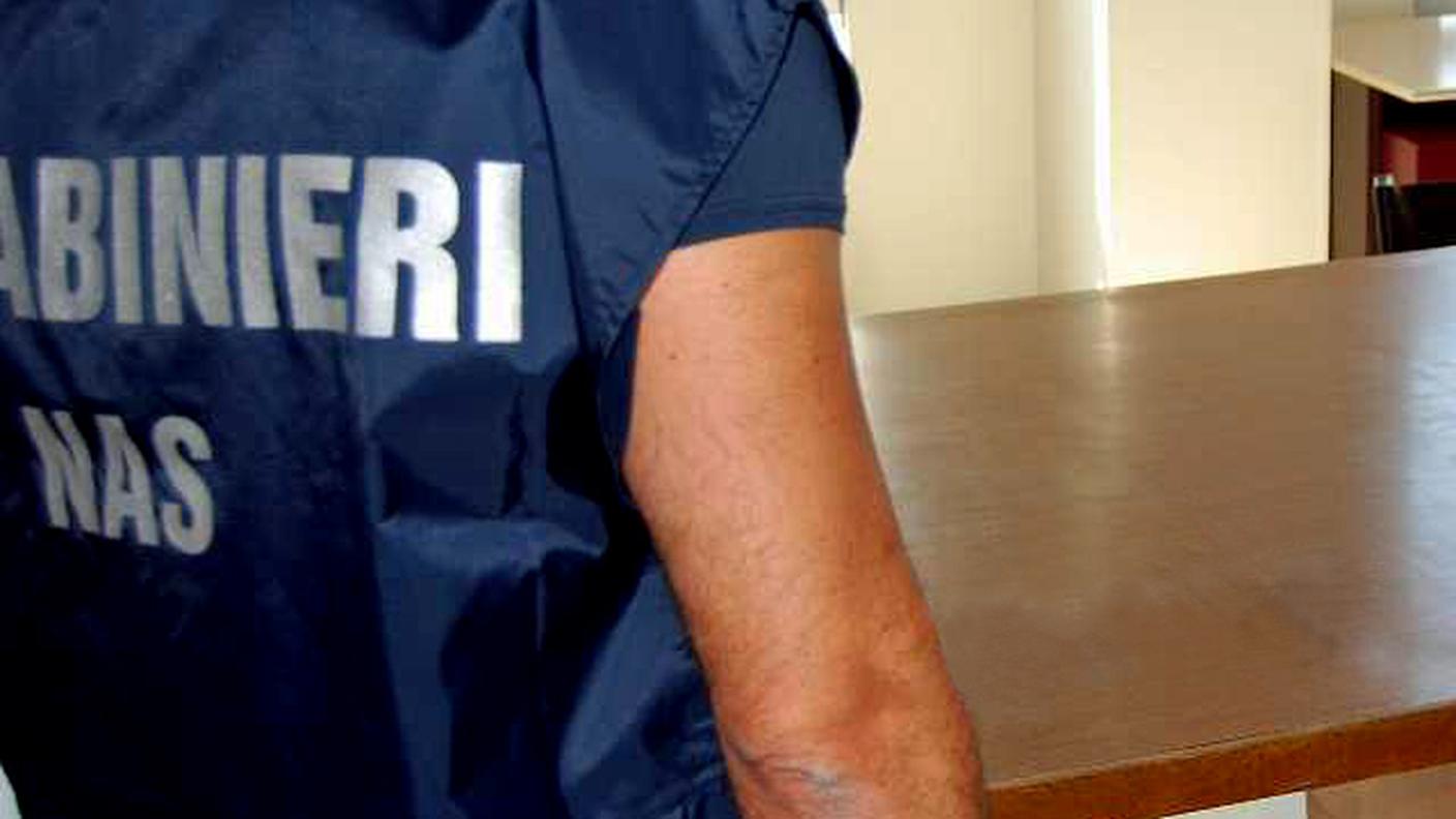 Carabinieri NAS ansa.jpg