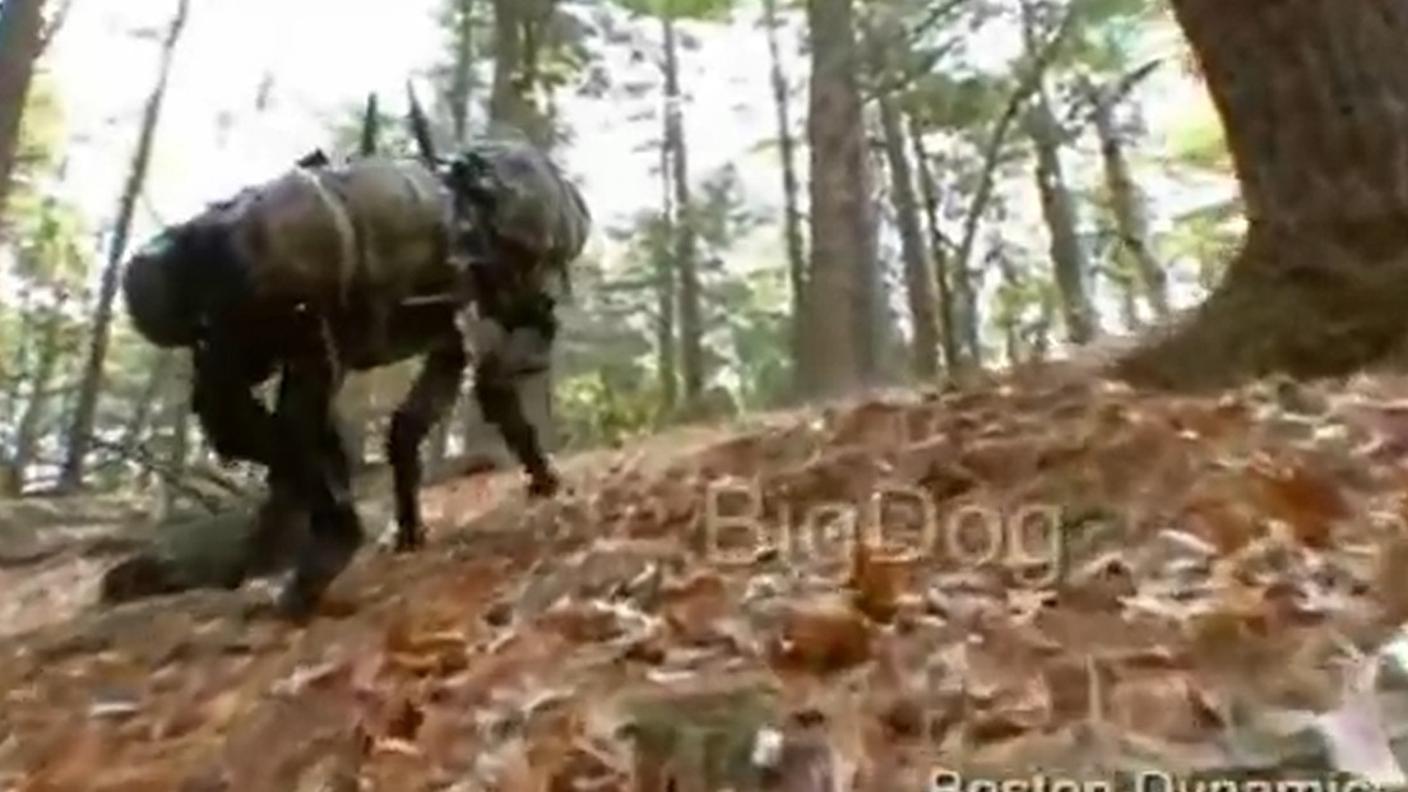 cane-robot-youtube.jpg