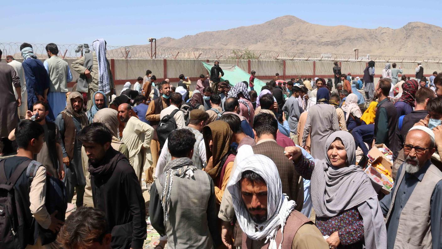 Mentre migliaia di afghani cercavano di fuggire dai talebani, si salvavano gatti