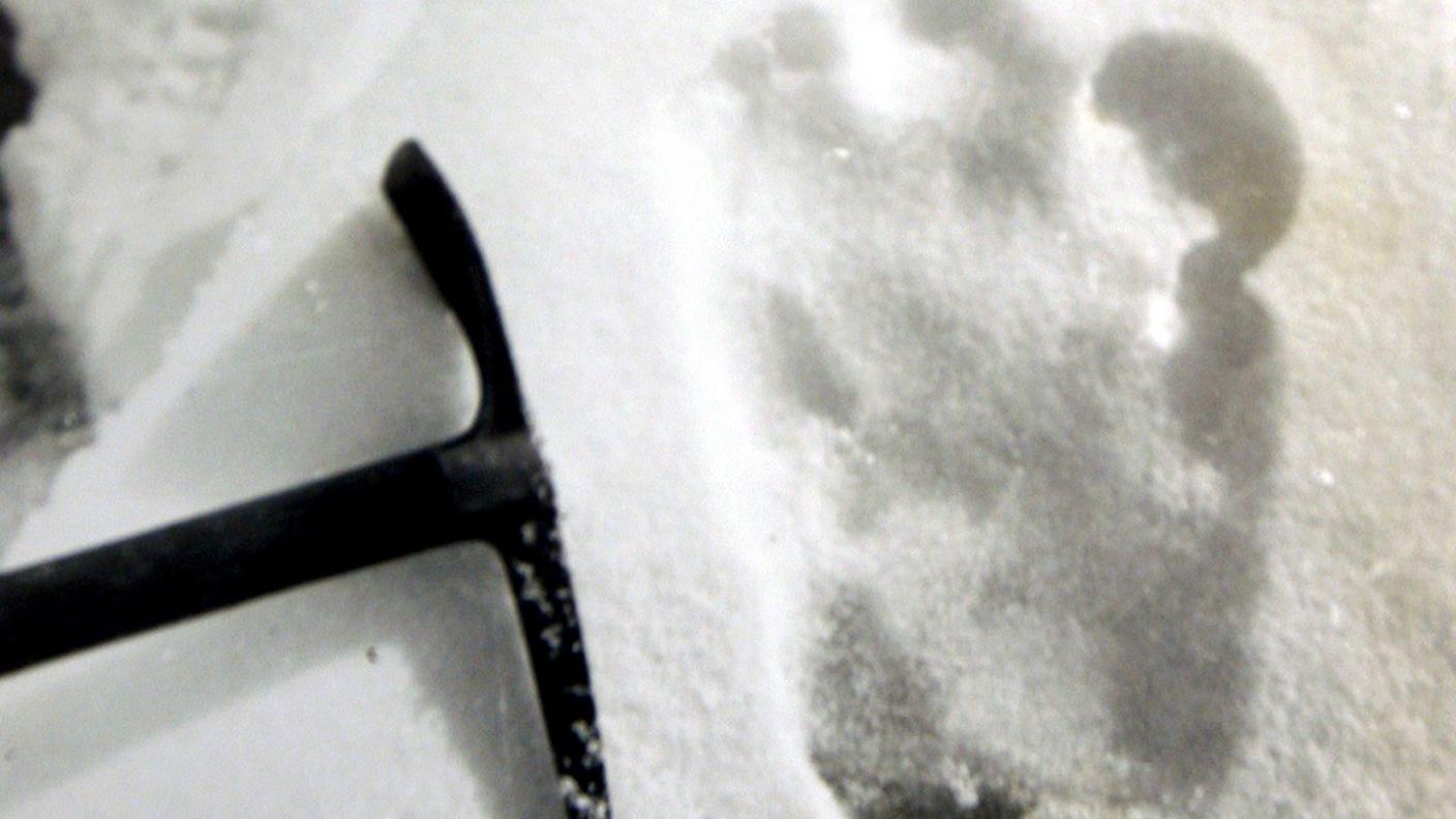 Orme di un presunto yeti