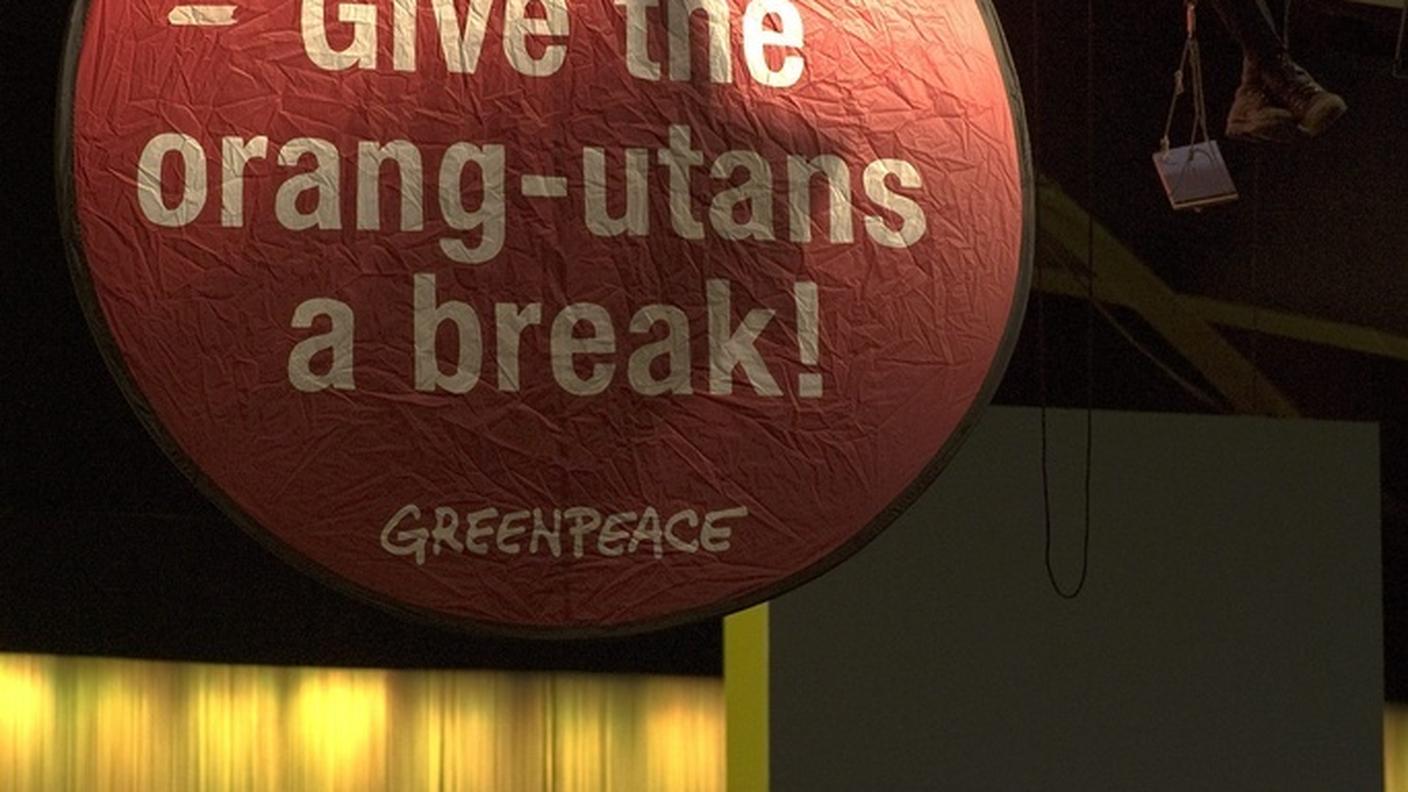 greenpeace_ky87456228.JPG