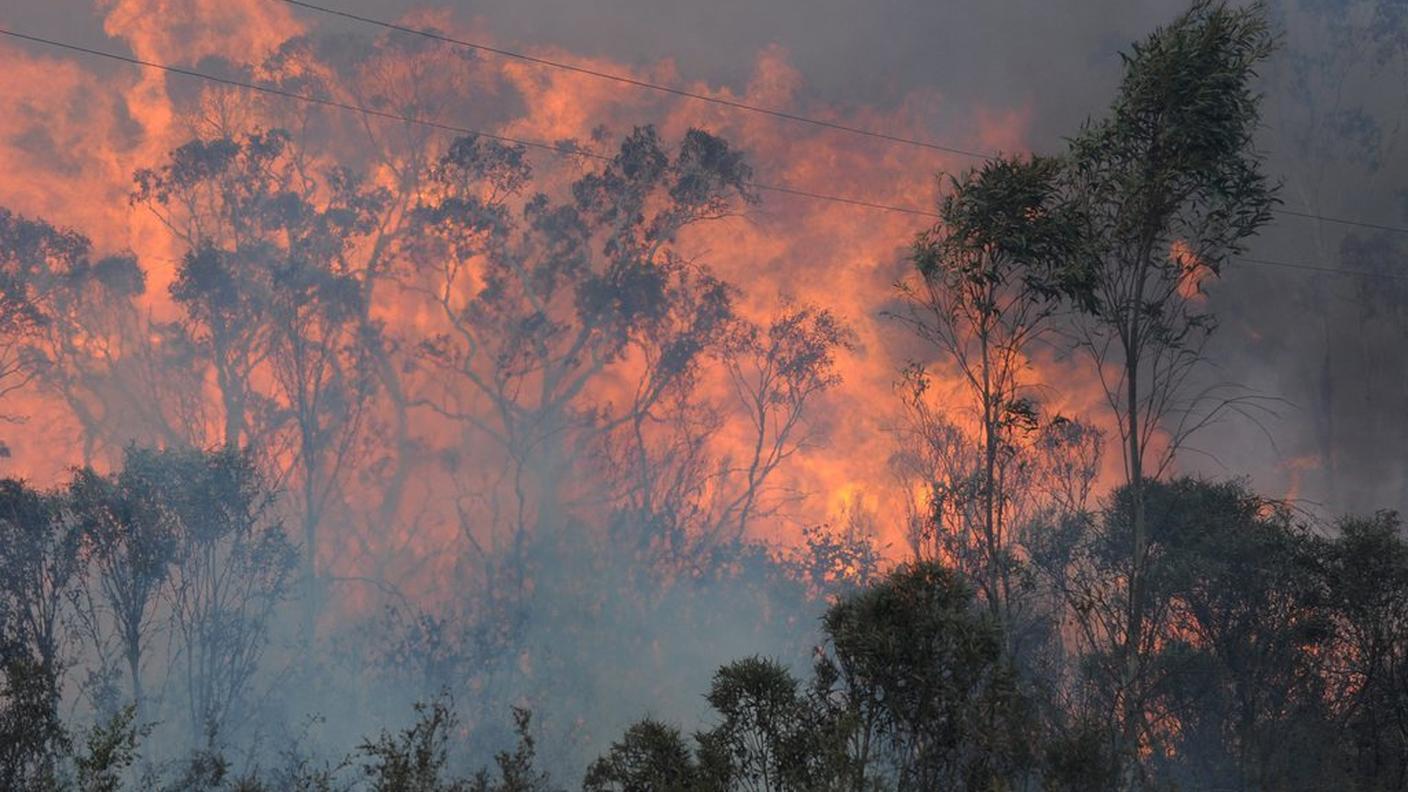 incendio australia 4 19.10.13 ky.JPG